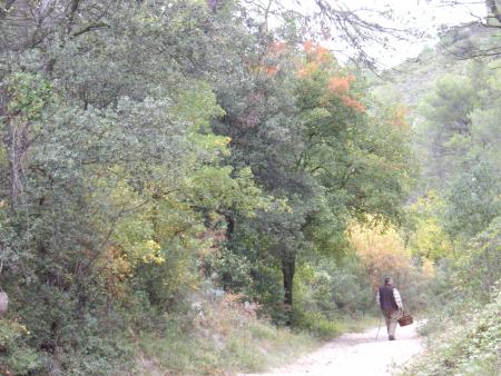 Un Dimanche � Simiane