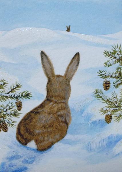 3 D�cembre : un petit lapin t�tu